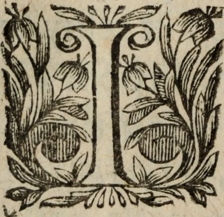 An illustration from Les recherches des Recherches [et] autres oeuures de me Estienne Pasqvier, pour la defense de nos roys, contre les outrages, calomnies, [et] autres impertinences dudit autheur .., 1622, leaf 329