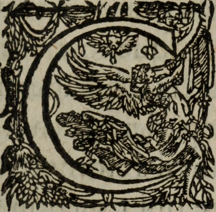 An illustration from Les recherches des Recherches [et] autres oeuures de me Estienne Pasqvier, pour la defense de nos roys, contre les outrages, calomnies, [et] autres impertinences dudit autheur .., 1622, leaf 364
