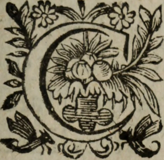 An illustration from Les recherches des Recherches [et] autres oeuures de me Estienne Pasqvier, pour la defense de nos roys, contre les outrages, calomnies, [et] autres impertinences dudit autheur .., 1622, leaf 370