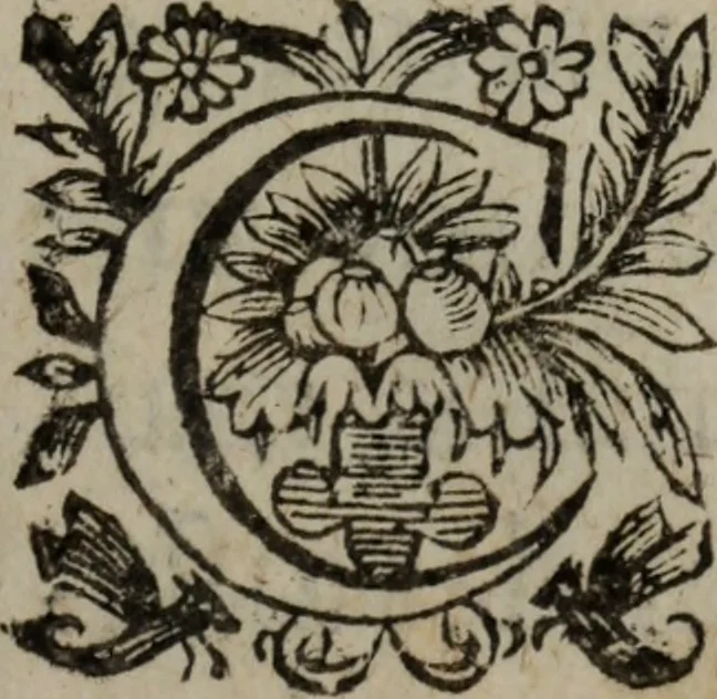 An illustration from Les recherches des Recherches [et] autres oeuures de me Estienne Pasqvier, pour la defense de nos roys, contre les outrages, calomnies, [et] autres impertinences dudit autheur .., 1622, leaf 38