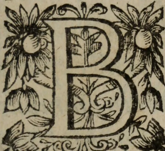 An illustration from Les recherches des Recherches [et] autres oeuures de me Estienne Pasqvier, pour la defense de nos roys, contre les outrages, calomnies, [et] autres impertinences dudit autheur .., 1622, leaf 430