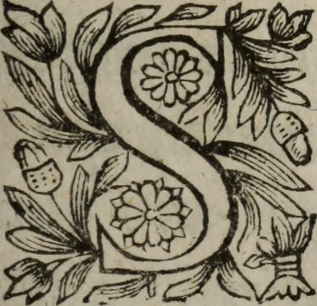 An illustration from Les recherches des Recherches [et] autres oeuures de me Estienne Pasqvier, pour la defense de nos roys, contre les outrages, calomnies, [et] autres impertinences dudit autheur .., 1622, leaf 464