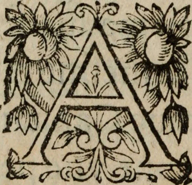 An illustration from Les recherches des Recherches [et] autres oeuures de me Estienne Pasqvier, pour la defense de nos roys, contre les outrages, calomnies, [et] autres impertinences dudit autheur .., 1622, leaf 511
