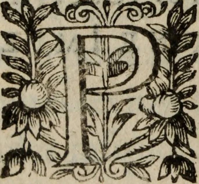 An illustration from Les recherches des Recherches [et] autres oeuures de me Estienne Pasqvier, pour la defense de nos roys, contre les outrages, calomnies, [et] autres impertinences dudit autheur .., 1622, leaf 527