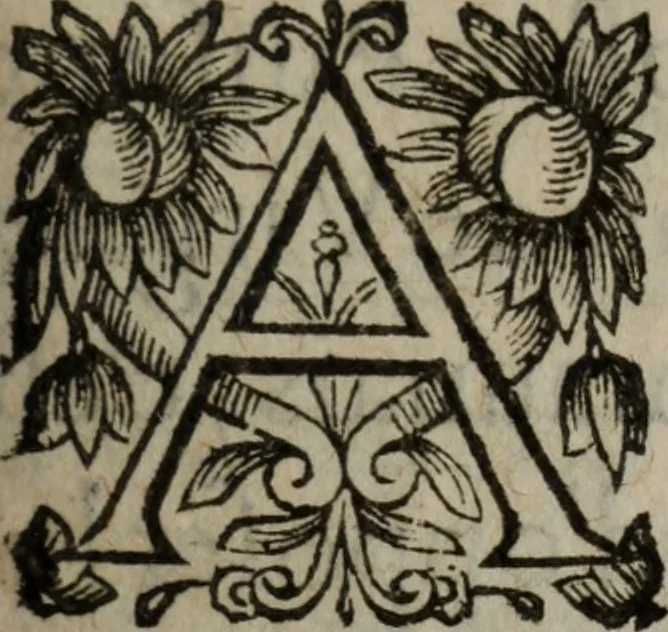 An illustration from Les recherches des Recherches [et] autres oeuures de me Estienne Pasqvier, pour la defense de nos roys, contre les outrages, calomnies, [et] autres impertinences dudit autheur .., 1622, leaf 552