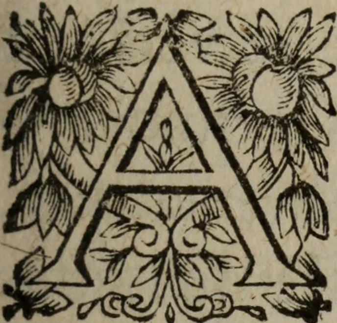 An illustration from Les recherches des Recherches [et] autres oeuures de me Estienne Pasqvier, pour la defense de nos roys, contre les outrages, calomnies, [et] autres impertinences dudit autheur .., 1622, leaf 568