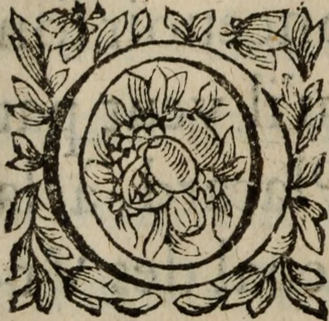 An illustration from Les recherches des Recherches [et] autres oeuures de me Estienne Pasqvier, pour la defense de nos roys, contre les outrages, calomnies, [et] autres impertinences dudit autheur .., 1622, leaf 601