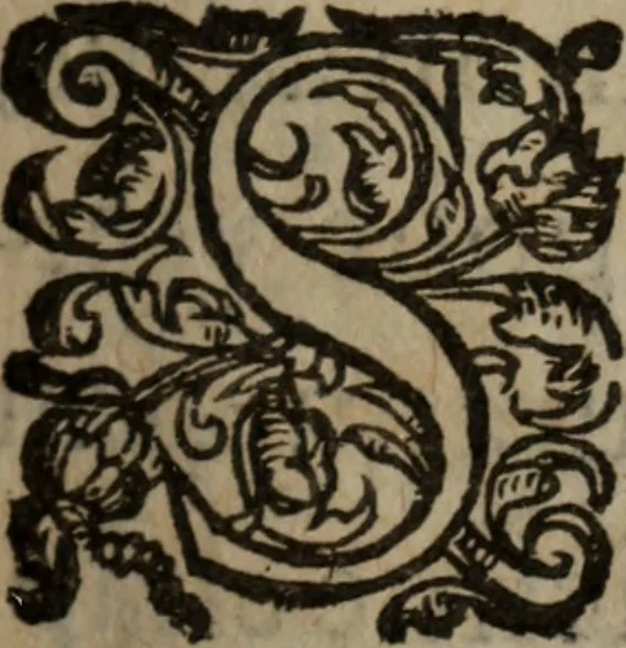 An illustration from Les recherches des Recherches [et] autres oeuures de me Estienne Pasqvier, pour la defense de nos roys, contre les outrages, calomnies, [et] autres impertinences dudit autheur .., 1622, leaf 610
