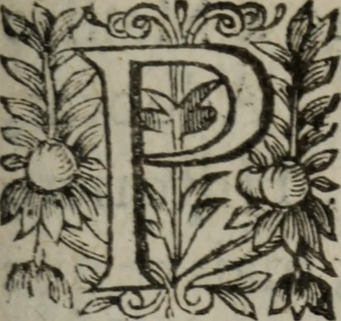 An illustration from Les recherches des Recherches [et] autres oeuures de me Estienne Pasqvier, pour la defense de nos roys, contre les outrages, calomnies, [et] autres impertinences dudit autheur .., 1622, leaf 658