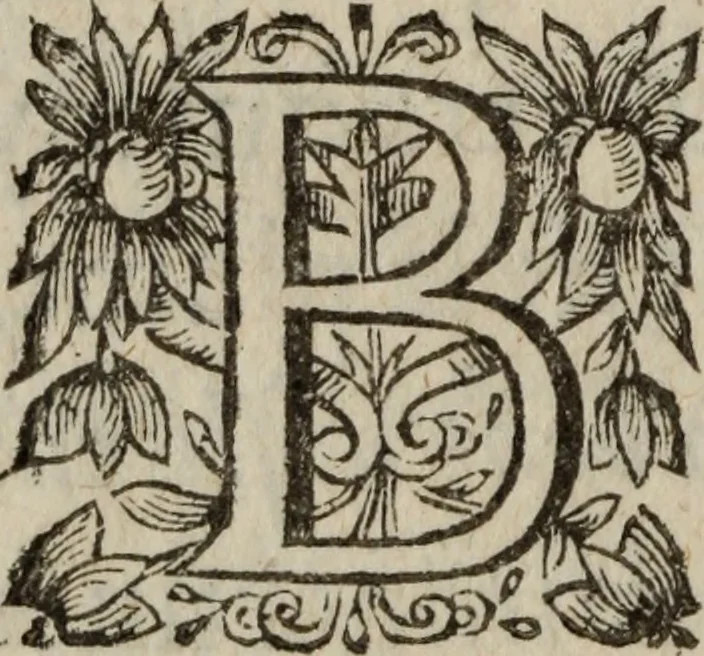 An illustration from Les recherches des Recherches [et] autres oeuures de me Estienne Pasqvier, pour la defense de nos roys, contre les outrages, calomnies, [et] autres impertinences dudit autheur .., 1622, leaf 665