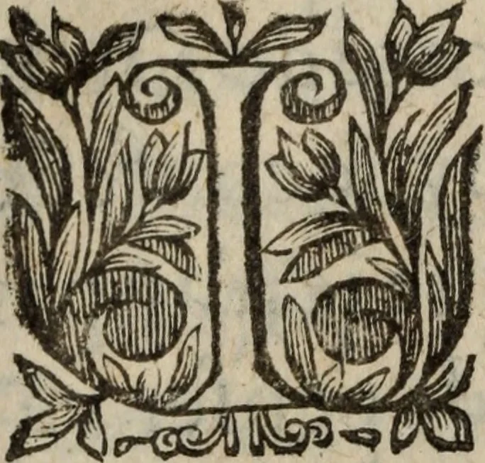An illustration from Les recherches des Recherches [et] autres oeuures de me Estienne Pasqvier, pour la defense de nos roys, contre les outrages, calomnies, [et] autres impertinences dudit autheur .., 1622, leaf 673