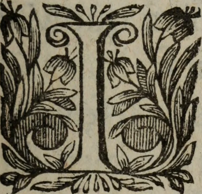 An illustration from Les recherches des Recherches [et] autres oeuures de me Estienne Pasqvier, pour la defense de nos roys, contre les outrages, calomnies, [et] autres impertinences dudit autheur .., 1622, leaf 686