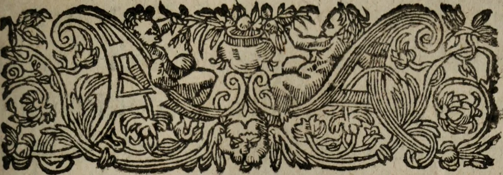 An illustration from Les recherches des Recherches [et] autres oeuures de me Estienne Pasqvier, pour la defense de nos roys, contre les outrages, calomnies, [et] autres impertinences dudit autheur .., 1622, leaf 718