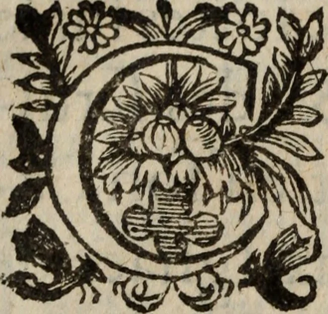 An illustration from Les recherches des Recherches [et] autres oeuures de me Estienne Pasqvier, pour la defense de nos roys, contre les outrages, calomnies, [et] autres impertinences dudit autheur .., 1622, leaf 753