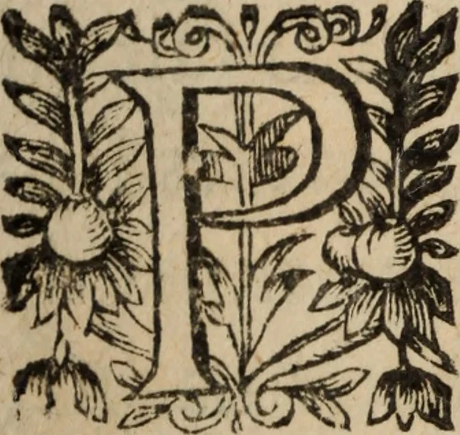 An illustration from Les recherches des Recherches [et] autres oeuures de me Estienne Pasqvier, pour la defense de nos roys, contre les outrages, calomnies, [et] autres impertinences dudit autheur .., 1622, leaf 77