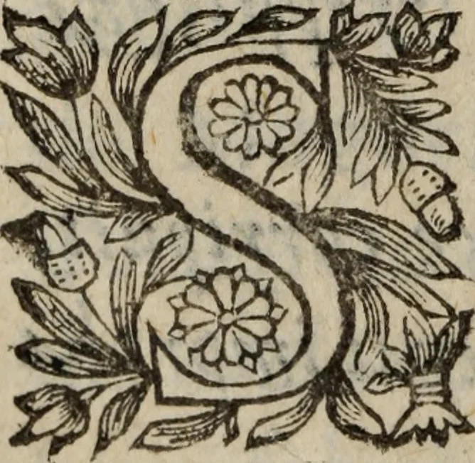 An illustration from Les recherches des Recherches [et] autres oeuures de me Estienne Pasqvier, pour la defense de nos roys, contre les outrages, calomnies, [et] autres impertinences dudit autheur .., 1622, leaf 787