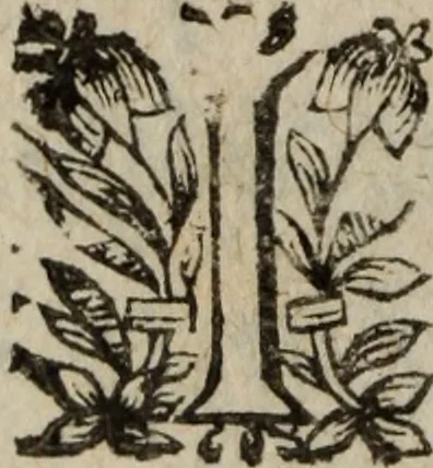 An illustration from Les recherches des Recherches [et] autres oeuures de me Estienne Pasqvier, pour la defense de nos roys, contre les outrages, calomnies, [et] autres impertinences dudit autheur .., 1622, leaf 789