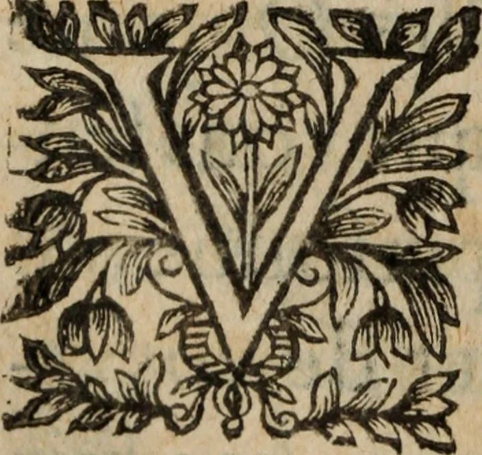 An illustration from Les recherches des Recherches [et] autres oeuures de me Estienne Pasqvier, pour la defense de nos roys, contre les outrages, calomnies, [et] autres impertinences dudit autheur .., 1622, leaf 805
