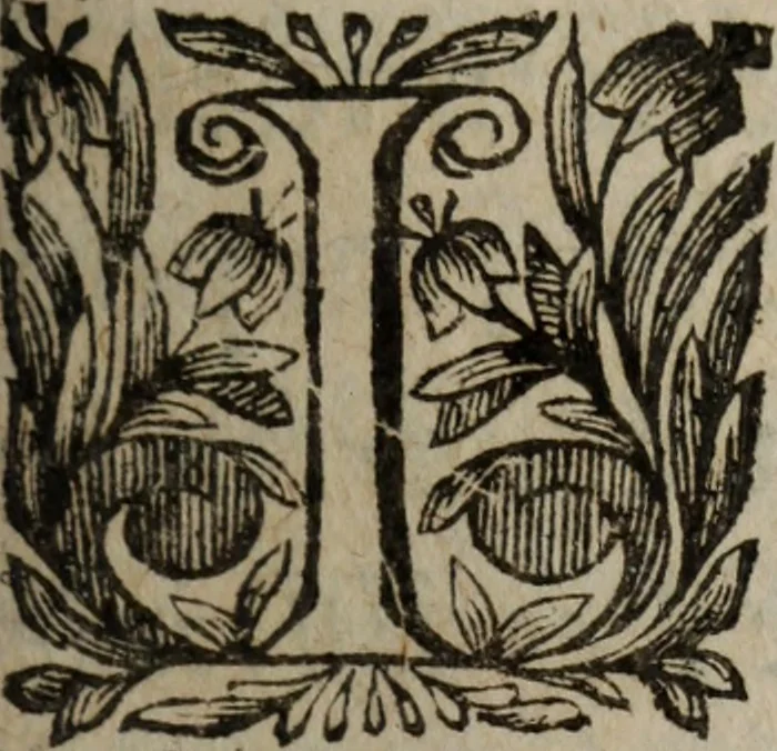An illustration from Les recherches des Recherches [et] autres oeuures de me Estienne Pasqvier, pour la defense de nos roys, contre les outrages, calomnies, [et] autres impertinences dudit autheur .., 1622, leaf 812