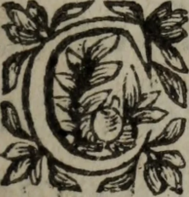 An illustration from Les recherches des Recherches [et] autres oeuures de me Estienne Pasqvier, pour la defense de nos roys, contre les outrages, calomnies, [et] autres impertinences dudit autheur .., 1622, leaf 838