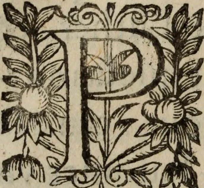 An illustration from Les recherches des Recherches [et] autres oeuures de me Estienne Pasqvier, pour la defense de nos roys, contre les outrages, calomnies, [et] autres impertinences dudit autheur .., 1622, leaf 857