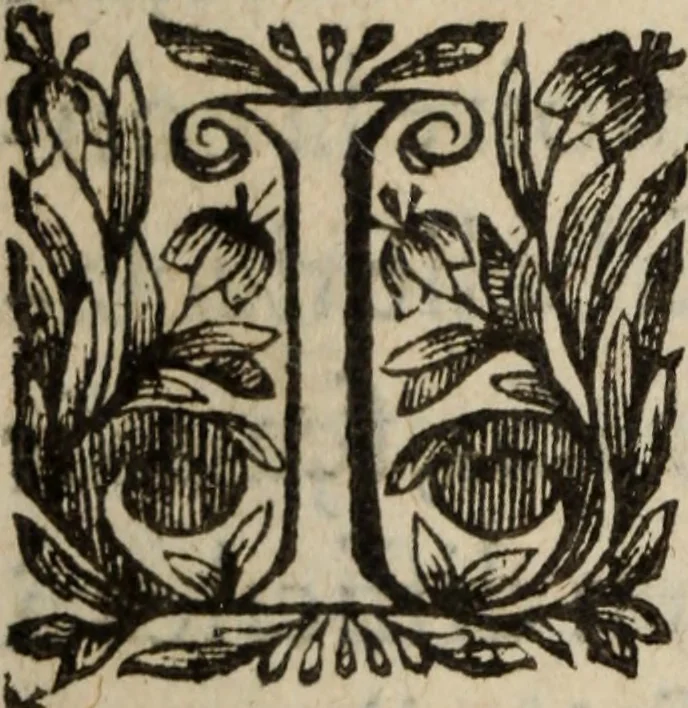An illustration from Les recherches des Recherches [et] autres oeuures de me Estienne Pasqvier, pour la defense de nos roys, contre les outrages, calomnies, [et] autres impertinences dudit autheur .., 1622, leaf 87