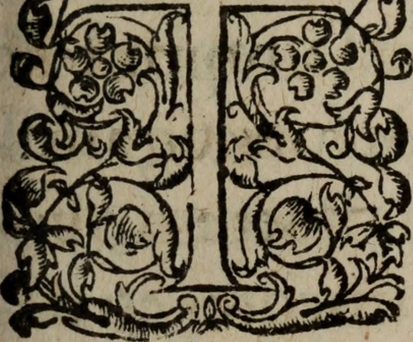 An illustration from Les recherches des Recherches [et] autres oeuures de me Estienne Pasqvier, pour la defense de nos roys, contre les outrages, calomnies, [et] autres impertinences dudit autheur .., 1622, leaf 898
