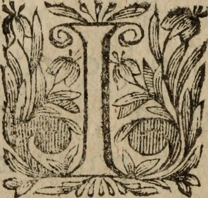 An illustration from Les recherches des Recherches [et] autres oeuures de me Estienne Pasqvier, pour la defense de nos roys, contre les outrages, calomnies, [et] autres impertinences dudit autheur .., 1622, leaf 917