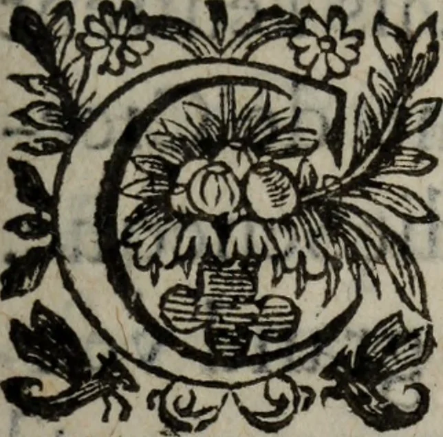 An illustration from Les recherches des Recherches [et] autres oeuures de me Estienne Pasqvier, pour la defense de nos roys, contre les outrages, calomnies, [et] autres impertinences dudit autheur .., 1622, leaf 936