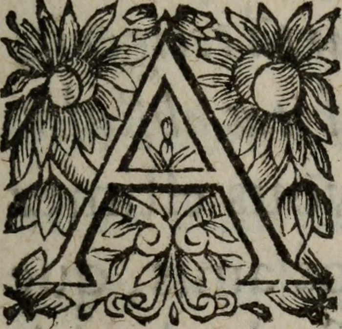 An illustration from Les recherches des Recherches [et] autres oeuures de me Estienne Pasqvier, pour la defense de nos roys, contre les outrages, calomnies, [et] autres impertinences dudit autheur .., 1622, leaf 984