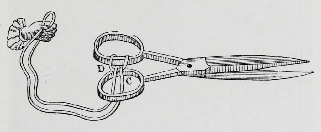 An illustration from Les récréations scientifiques, ou, L'enseignement par les jeux, 1884, leaf 363