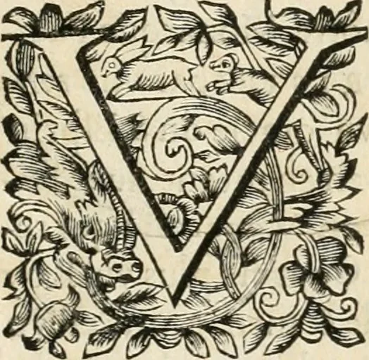 An illustration from Les réjoüissances de la paix, faites dans la ville de Lyon le 20. mars 1660, 1660, leaf 10