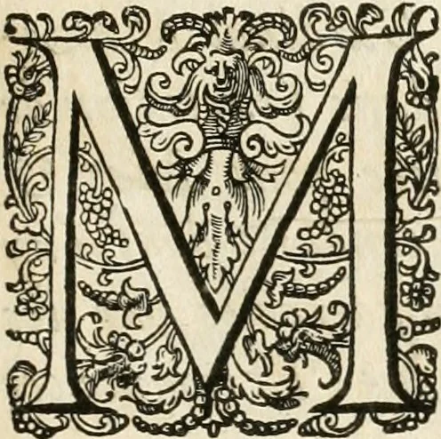 An illustration from Les réjoüissances de la paix, faites dans la ville de Lyon le 20. mars 1660, 1660, leaf 6