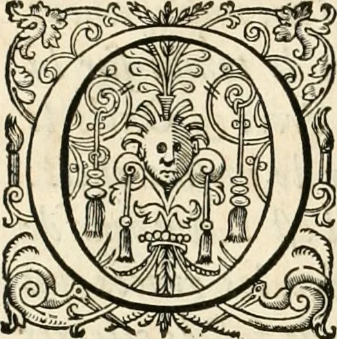 An illustration from Les réjoüissances de la paix, faites dans la ville de Lyon le 20. mars 1660, 1660, leaf 9