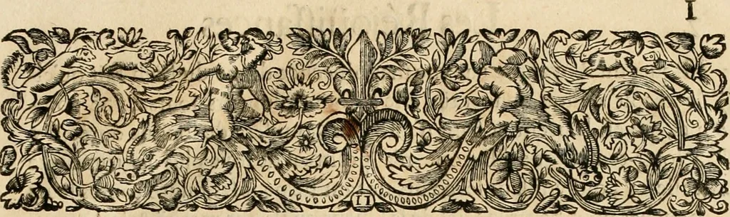 An illustration from Les réjoüissances de la paix, faites dans la ville de Lyon le 20. mars 1660, 1660, leaf 10