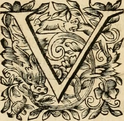 An illustration from Les réjoüissances de la paix, faites dans la ville de Lyon le 20. mars 1660, 1660, leaf 10