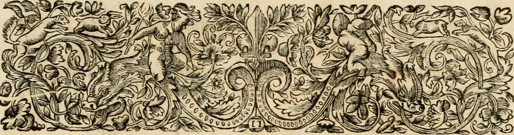 An illustration from Les réjoüissances de la paix, faites dans la ville de Lyon le 20. mars 1660, 1660, leaf 6