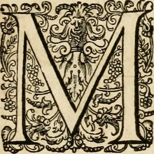 An illustration from Les réjoüissances de la paix, faites dans la ville de Lyon le 20. mars 1660, 1660, leaf 6