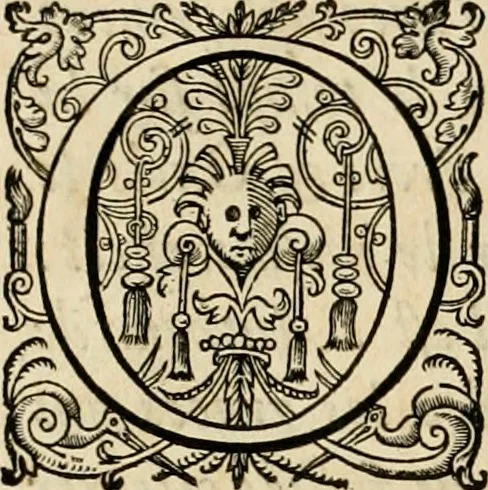 An illustration from Les réjoüissances de la paix, faites dans la ville de Lyon le 20. mars 1660, 1660, leaf 9