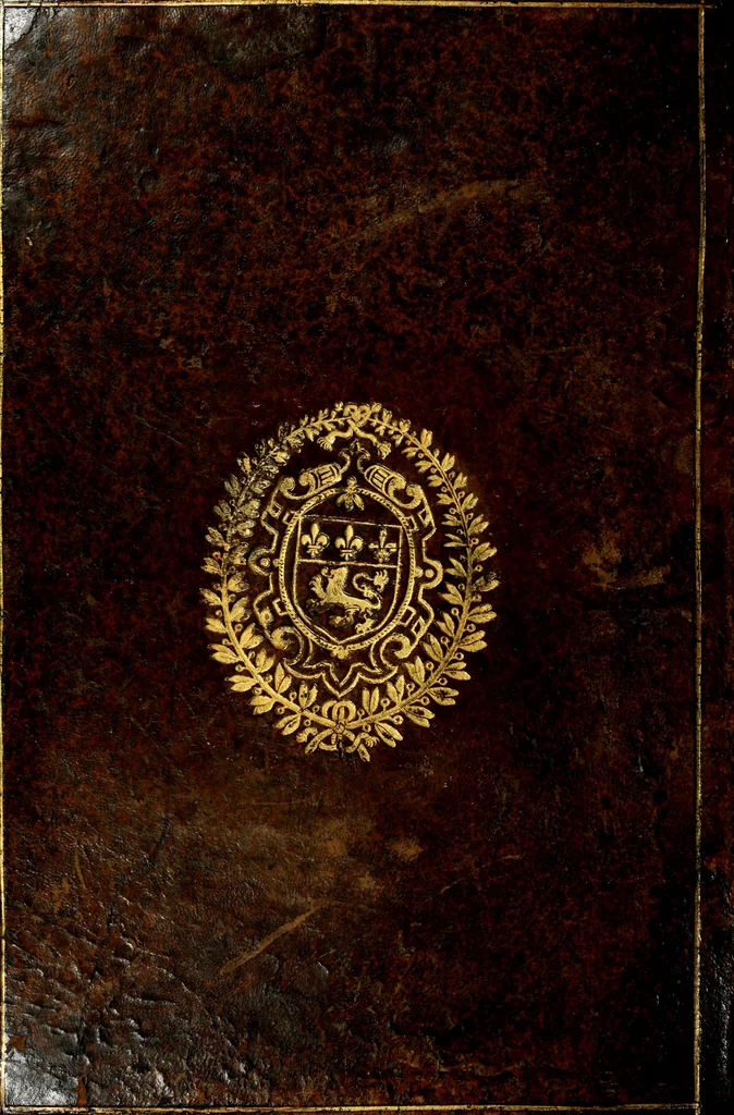 An illustration from Les réjoüissances de la paix, faites dans la ville de Lyon le 20. mars 1660, 1660, leaf 99