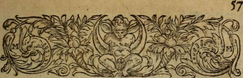An illustration from Les remonstrances faictes av Roy loys vnzieme, svr les priuileges de l'Eglise Gallicane, & les plainctifs & doleances du peuple. .., 1561, leaf 116