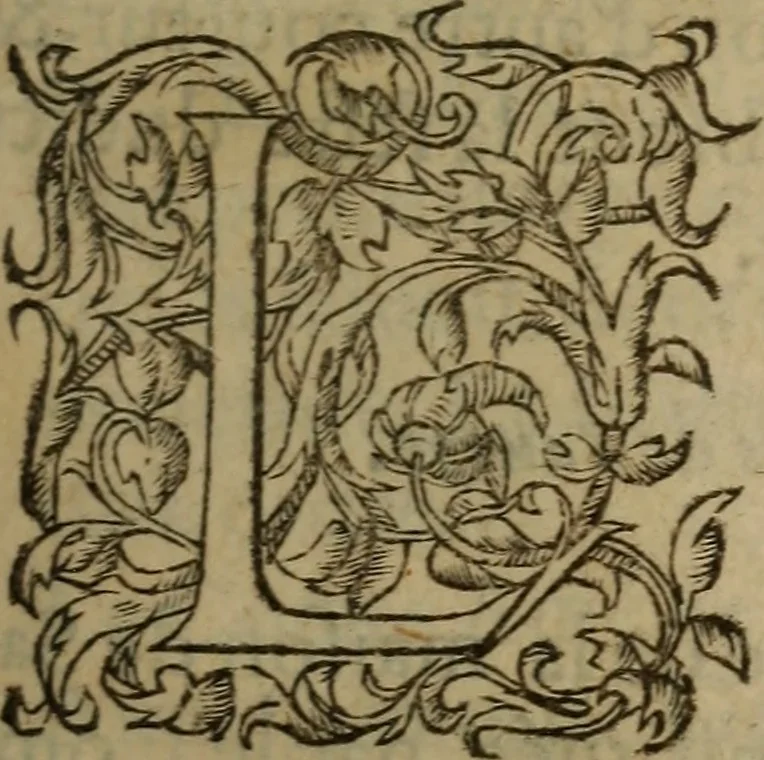An illustration from Les remonstrances faictes av Roy loys vnzieme, svr les priuileges de l'Eglise Gallicane, & les plainctifs & doleances du peuple. .., 1561, leaf 116