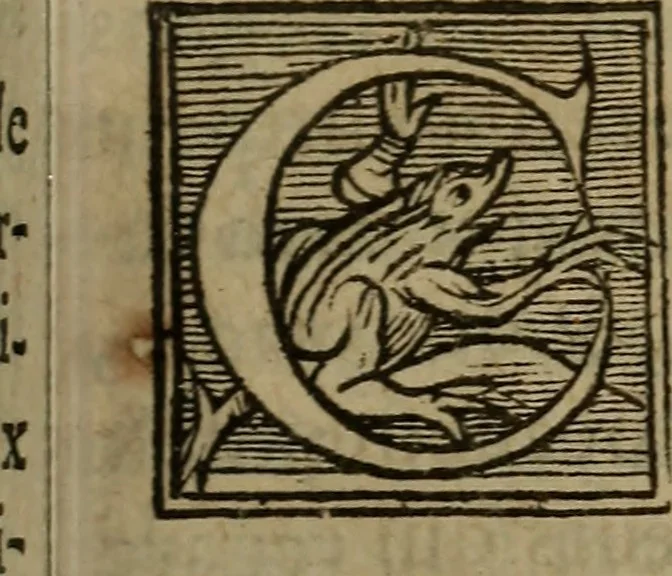 An illustration from Les remonstrances faictes av Roy loys vnzieme, svr les priuileges de l'Eglise Gallicane, & les plainctifs & doleances du peuple. .., 1561, leaf 146