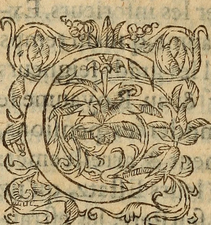 An illustration from Les remonstrances faictes av Roy loys vnzieme, svr les priuileges de l'Eglise Gallicane, & les plainctifs & doleances du peuple. .., 1561, leaf 151