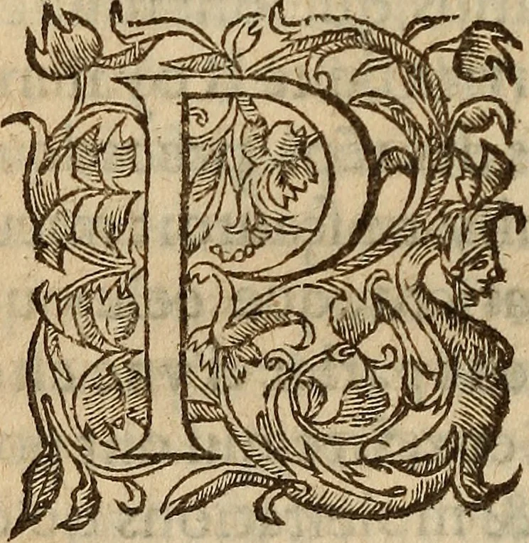 An illustration from Les remonstrances faictes av Roy loys vnzieme, svr les priuileges de l'Eglise Gallicane, & les plainctifs & doleances du peuple. .., 1561, leaf 173