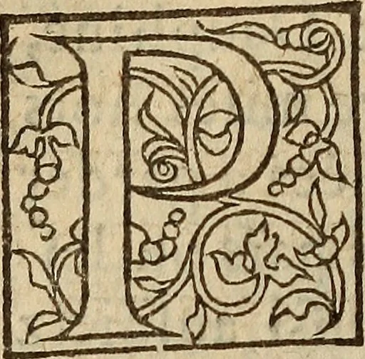 An illustration from Les remonstrances faictes av Roy loys vnzieme, svr les priuileges de l'Eglise Gallicane, & les plainctifs & doleances du peuple. .., 1561, leaf 185