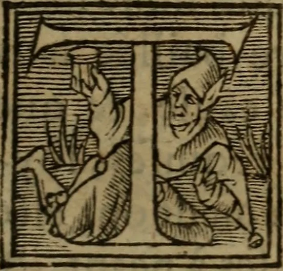 An illustration from Les remonstrances faictes av Roy loys vnzieme, svr les priuileges de l'Eglise Gallicane, & les plainctifs & doleances du peuple. .., 1561, leaf 228