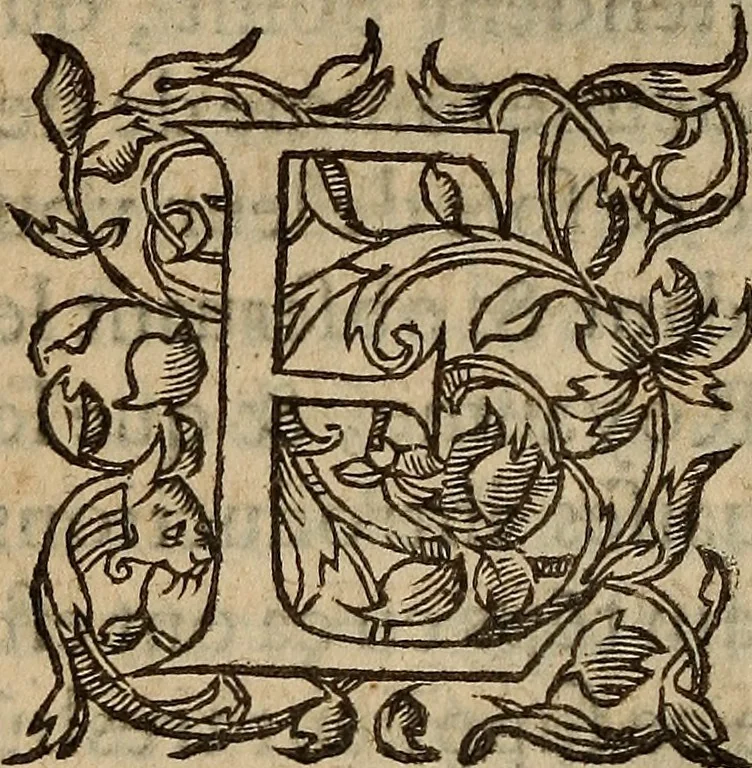 An illustration from Les remonstrances faictes av Roy loys vnzieme, svr les priuileges de l'Eglise Gallicane, & les plainctifs & doleances du peuple. .., 1561, leaf 239
