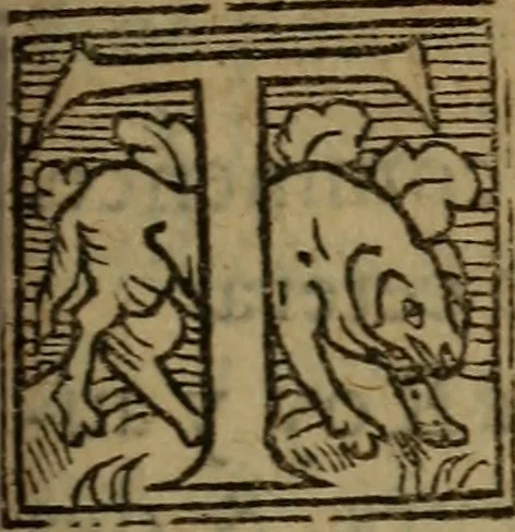 An illustration from Les remonstrances faictes av Roy loys vnzieme, svr les priuileges de l'Eglise Gallicane, & les plainctifs & doleances du peuple. .., 1561, leaf 240