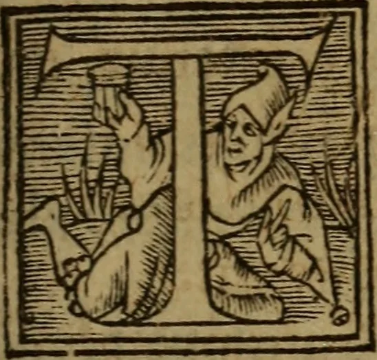 An illustration from Les remonstrances faictes av Roy loys vnzieme, svr les priuileges de l'Eglise Gallicane, & les plainctifs & doleances du peuple. .., 1561, leaf 254